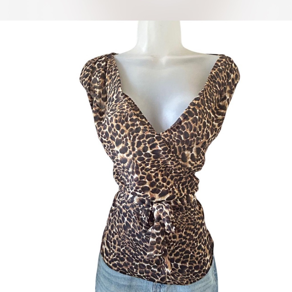 Monroe & Main Leopard Print V-Neck Blouse